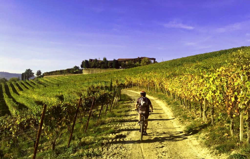 tour enogastronomici langhe