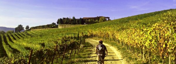 Tour di primavera nelle Langhe