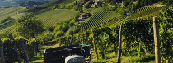 Intervista speciale alle Langhe