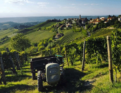 tour enogastronomici langhe