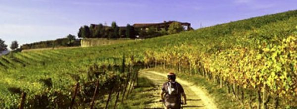 Spring tour in the Langhe wine region